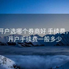 股票开户选哪个券商好 手续费，股票开户手续费一般多少
