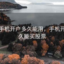股票手机开户多久能用，手机开户多久能买股票