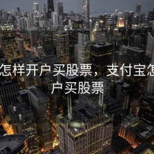 桂林 怎样开户买股票，支付宝怎样开户买股票
