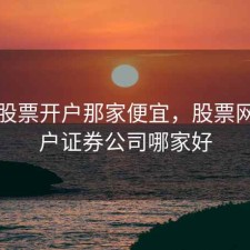 网上股票开户那家便宜，股票网上开户证券公司哪家好