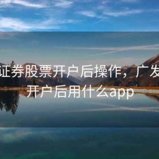广发证券股票开户后操作，广发证券开户后用什么app