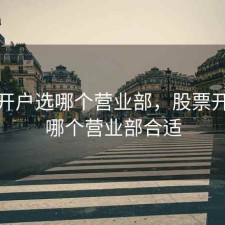 股票开户选哪个营业部，股票开户选哪个营业部合适