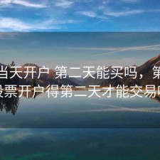 股票当天开户 第二天能买吗，第一天股票开户得第二天才能交易吗