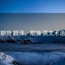 期货 翻译，期货 英文术语