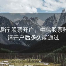 中信银行 股票开户，中信股票账户申请开户后多久能通过