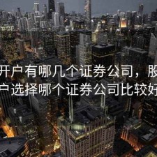股票开户有哪几个证券公司，股票开户选择哪个证券公司比较好