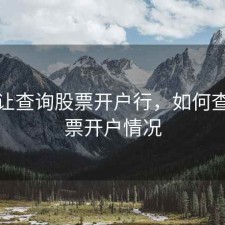 如何让查询股票开户行，如何查询股票开户情况