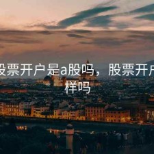 一般股票开户是a股吗，股票开户都一样吗