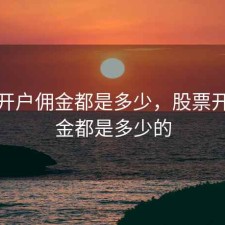 股票开户佣金都是多少，股票开户佣金都是多少的