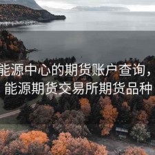 上海能源中心的期货账户查询，上海能源期货交易所期货品种