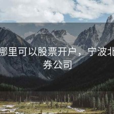 北仑哪里可以股票开户，宁波北仑证券公司
