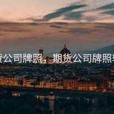 期货公司牌照，期货公司牌照转让