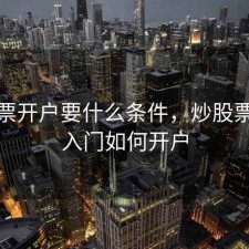 炒股票开户要什么条件，炒股票新手入门如何开户