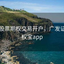 广发股票期权交易开户，广发证券期权宝app