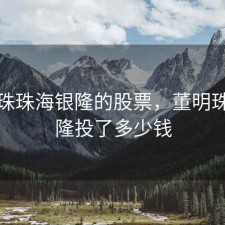 董明珠珠海银隆的股票，董明珠在银隆投了多少钱