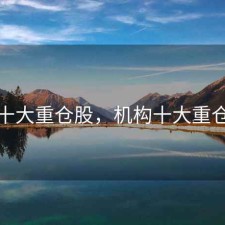 机构十大重仓股，机构十大重仓股票