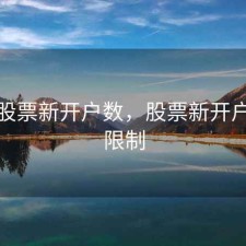 企业股票新开户数，股票新开户有啥限制