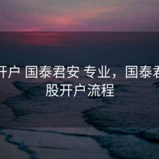 股票开户 国泰君安 专业，国泰君安炒股开户流程