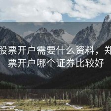 郑州股票开户需要什么资料，郑州股票开户哪个证券比较好