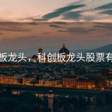 科创板龙头，科创板龙头股票有哪些