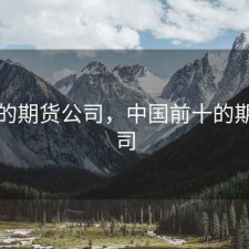 中国的期货公司，中国前十的期货公司