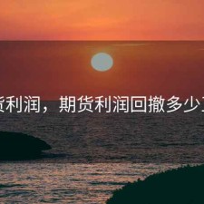 期货利润，期货利润回撤多少正常