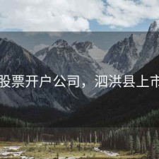 泗洪股票开户公司，泗洪县上市公司