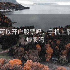 手机可以开户股票吗，手机上能开户炒股吗