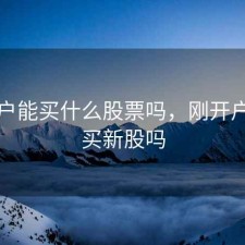 刚开户能买什么股票吗，刚开户可以买新股吗