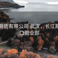 长江期货有限公司 武汉，长江期货汉口营业部