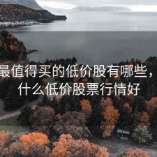 现在最值得买的低价股有哪些，现在什么低价股票行情好