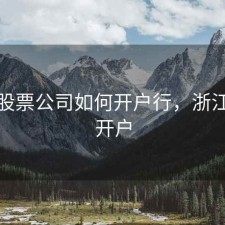 杭州股票公司如何开户行，浙江股票开户