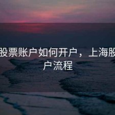 上海股票账户如何开户，上海股市开户流程