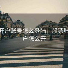 股票开户账号怎么登陆，股票账户开户怎么开