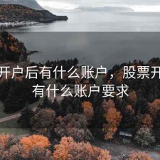股票开户后有什么账户，股票开户后有什么账户要求
