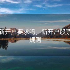 股票新开户要求吗，新开户股票交易规则
