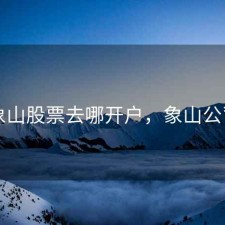 象山股票去哪开户，象山公司