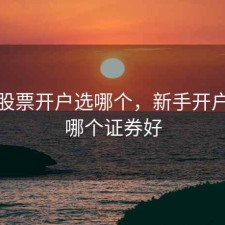 新手股票开户选哪个，新手开户股票哪个证券好