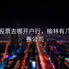 榆林股票去哪开户行，榆林有几家证券公司