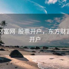东方财富网  股票开户，东方财富网络开户