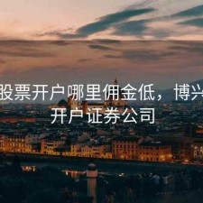 博兴股票开户哪里佣金低，博兴股票开户证券公司