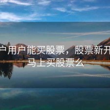新开户用户能买股票，股票新开户能马上买股票么