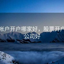 股票帐户开户哪家好，股票开户哪个公司好