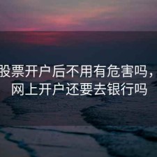 网上股票开户后不用有危害吗，股票网上开户还要去银行吗