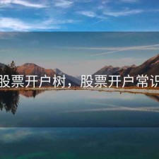 股票开户树，股票开户常识