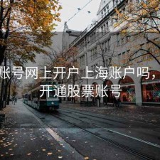 股票账号网上开户上海账户吗，网上开通股票账号