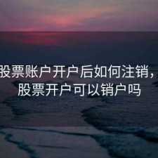 网上股票账户开户后如何注销，网上股票开户可以销户吗