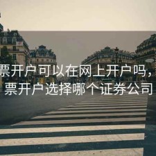 买股票开户可以在网上开户吗，买股票开户选择哪个证券公司