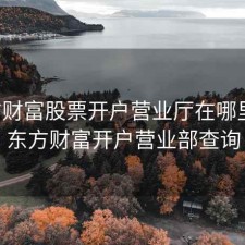 东方财富股票开户营业厅在哪里看，东方财富开户营业部查询