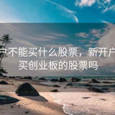 新开户不能买什么股票，新开户不能买创业板的股票吗